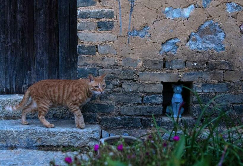 민박 Yangshuo Hillside Homestay