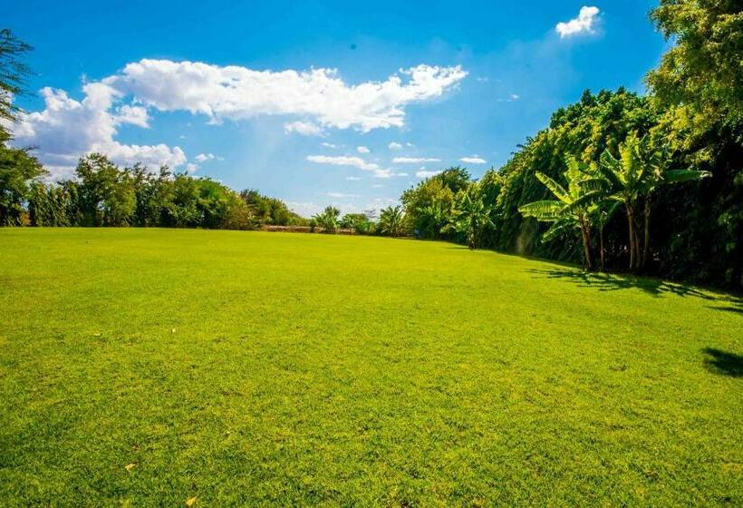 Panone Hotel Chekereni