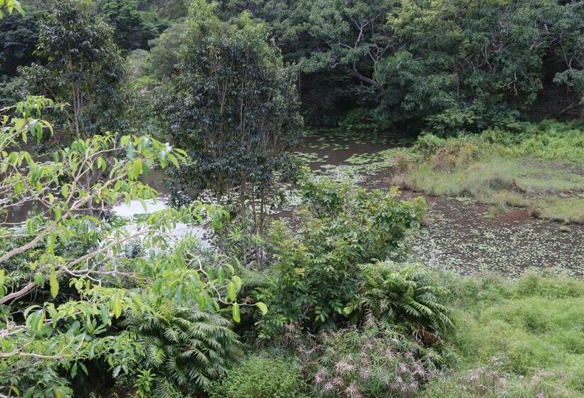 هتل Shimba Hills Lodge