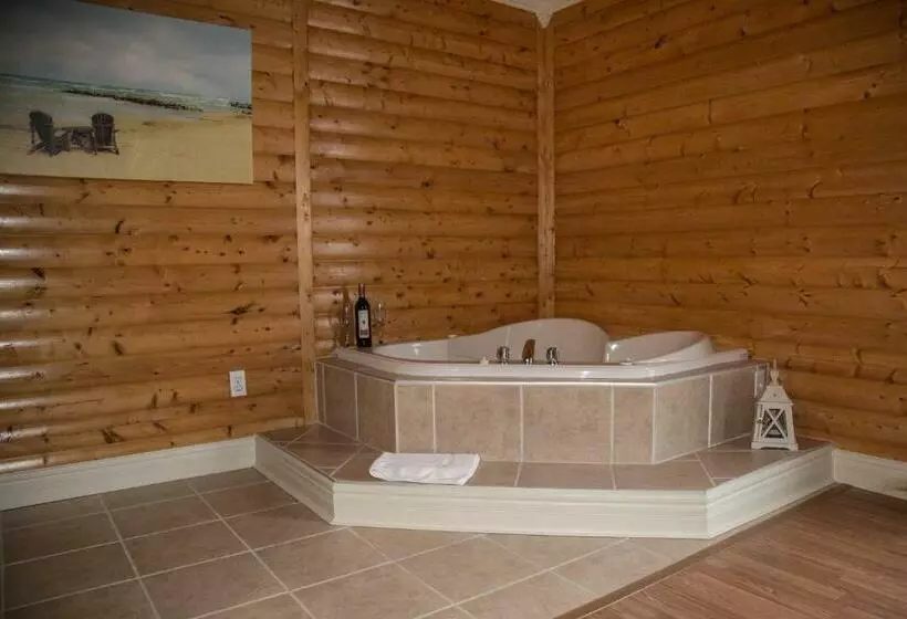 Viking Lodge Motel