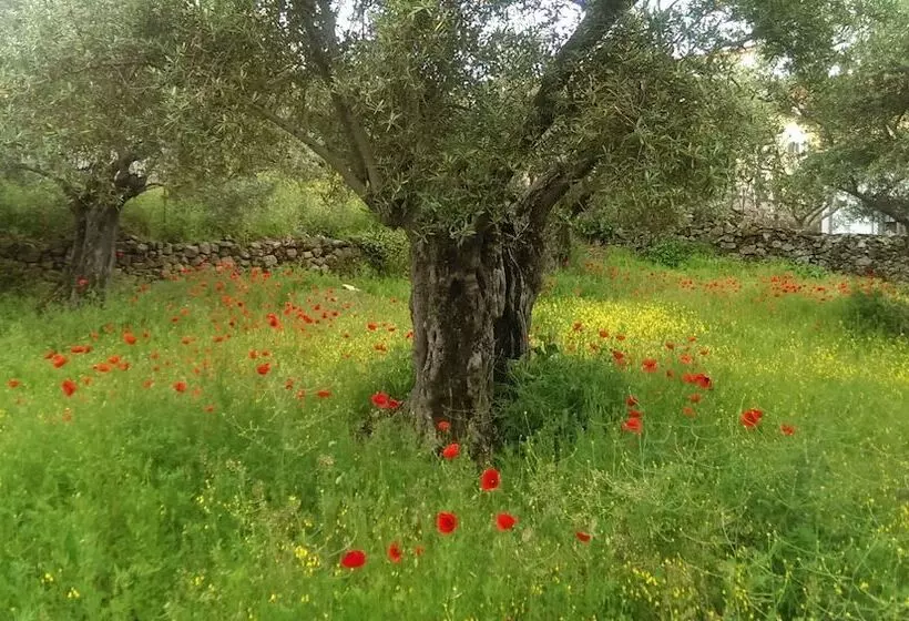 Apartamento Tia Antonia