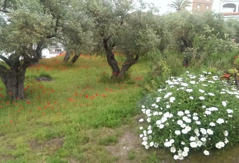 Apartamento Tia Antonia