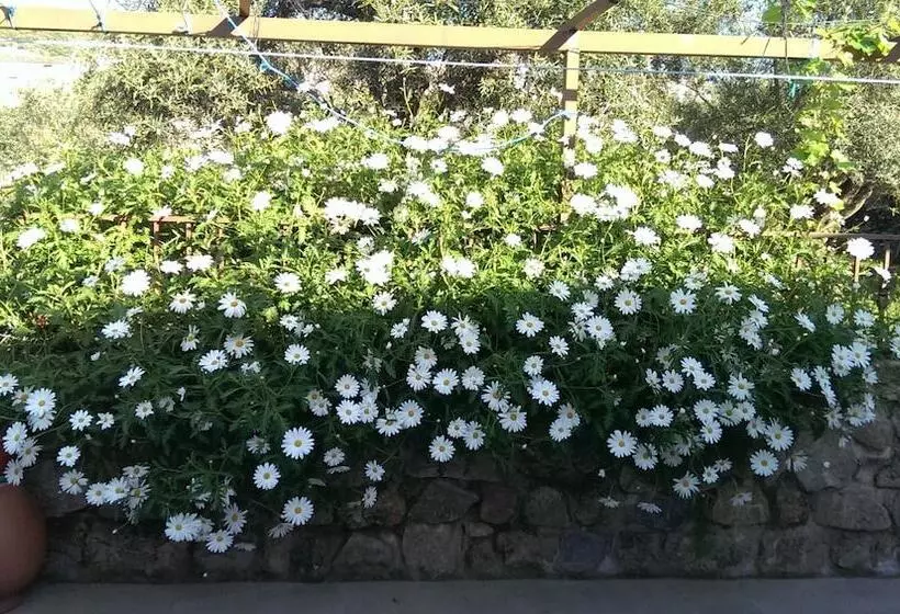 Apartamento Tia Antonia