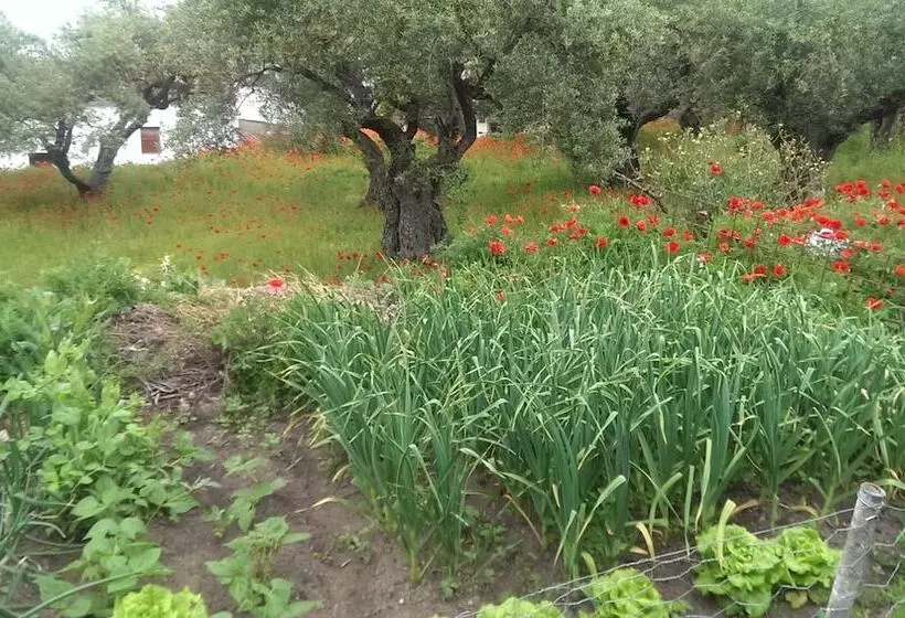 Apartamento Tia Antonia