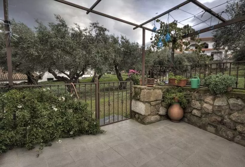 Apartamento Tia Antonia