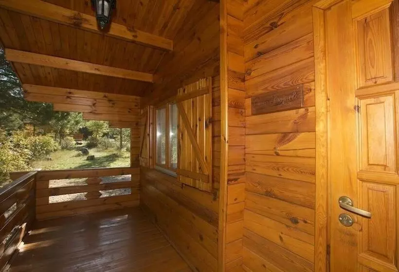 El Llano De Los Conejos Serranía De Cuenca