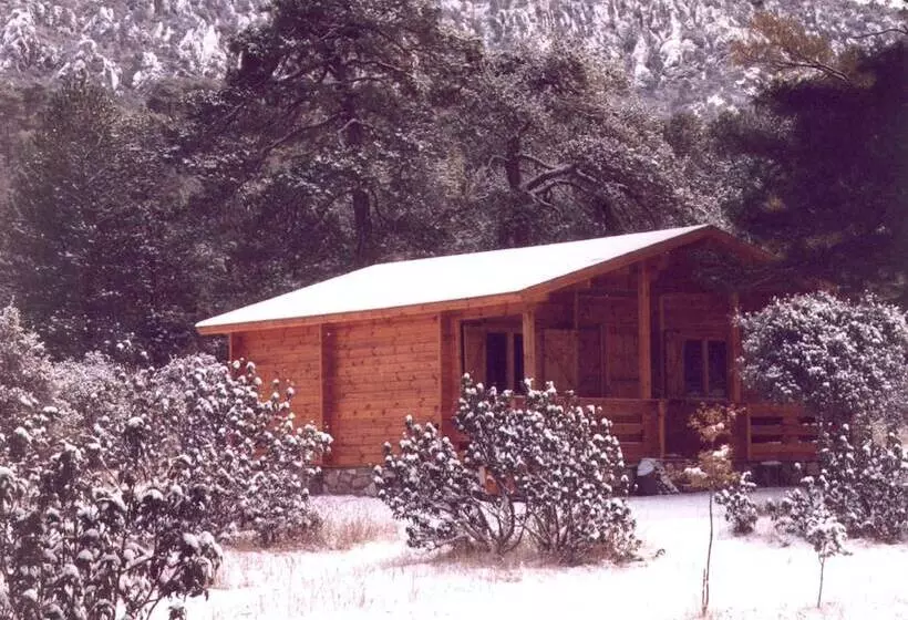 El Llano De Los Conejos Serranía De Cuenca
