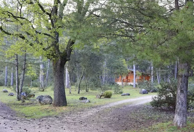 El Llano De Los Conejos Serranía De Cuenca