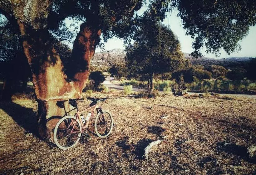 Casa Babel Monfragüe