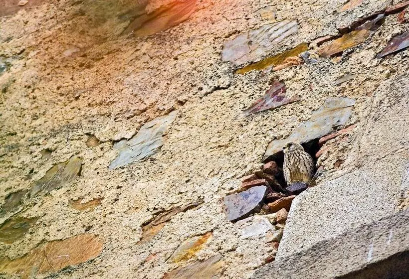 Casa Babel Monfragüe