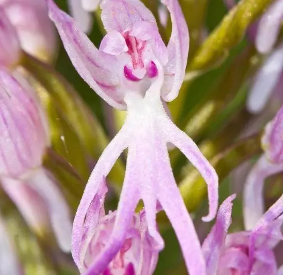 Casa Babel Monfragüe