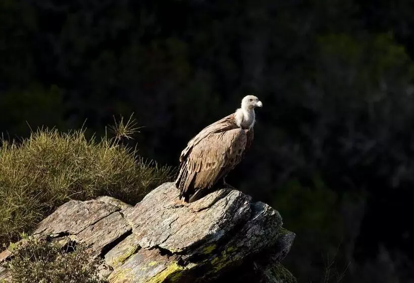 Casa Babel Monfragüe