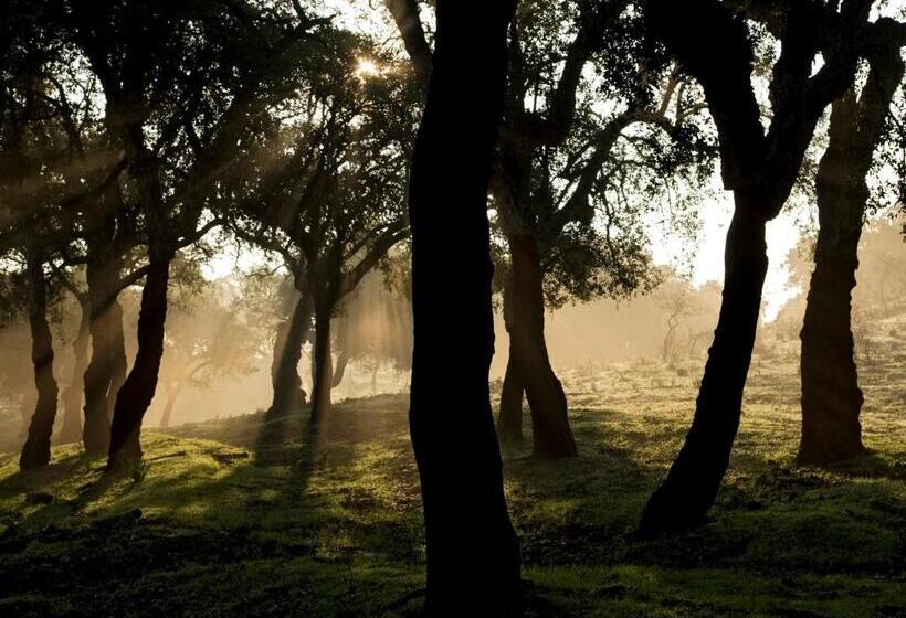 Casa Babel Monfragüe