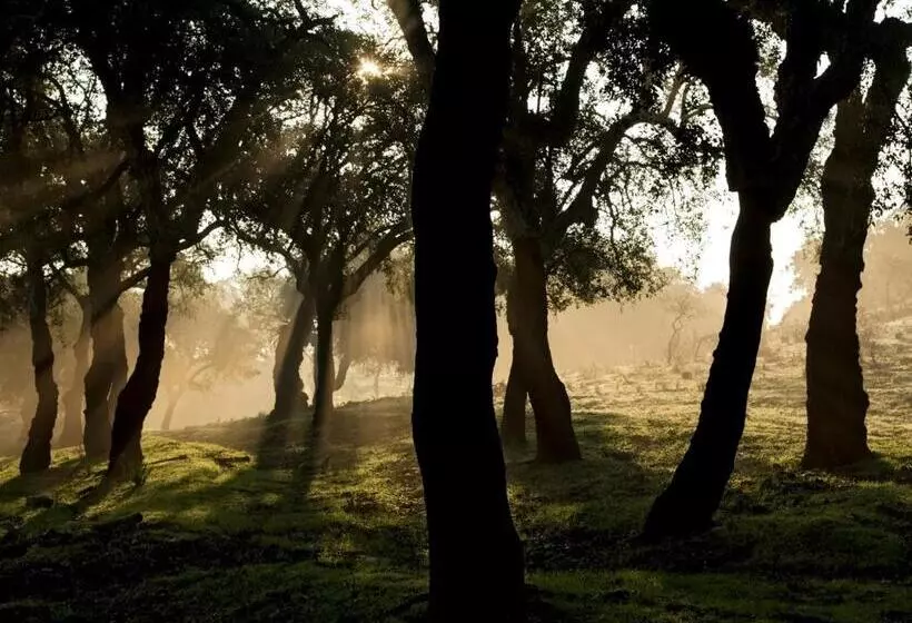 Casa Babel Monfragüe