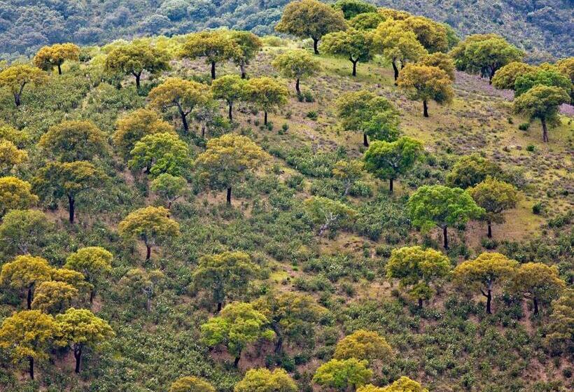 Casa Babel Monfragüe