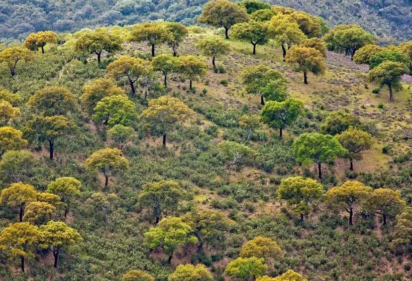 Casa Babel Monfragüe