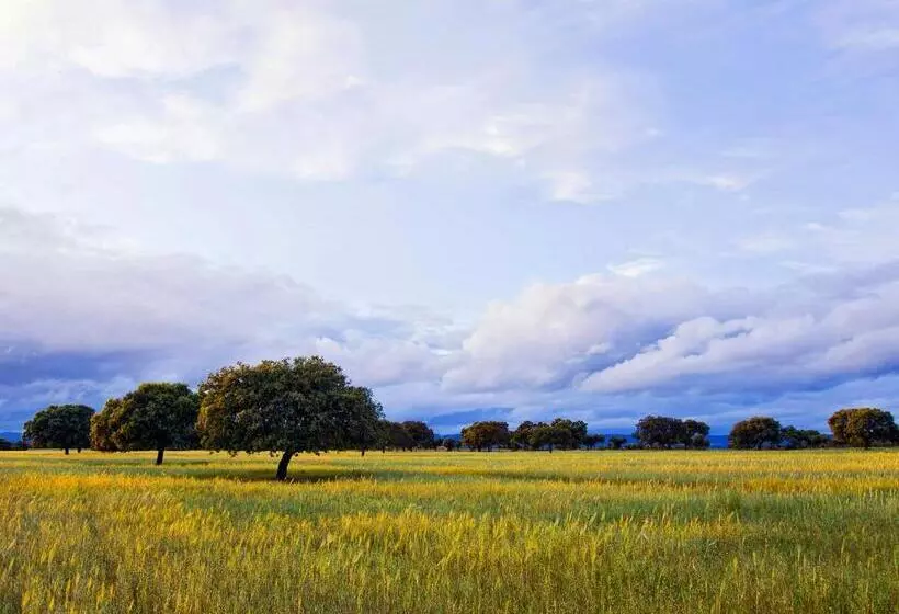 Casa Babel Monfragüe
