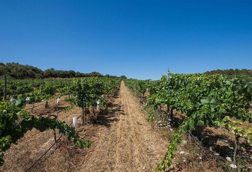 Agroturismo Can Feliu