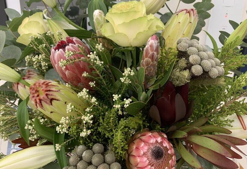 בית מלון כפרי Villa Afrikana Guest Suites By Knysna Paradise Collection