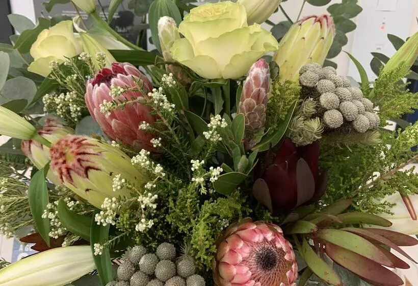 בית מלון כפרי Villa Afrikana Guest Suites By Knysna Paradise Collection