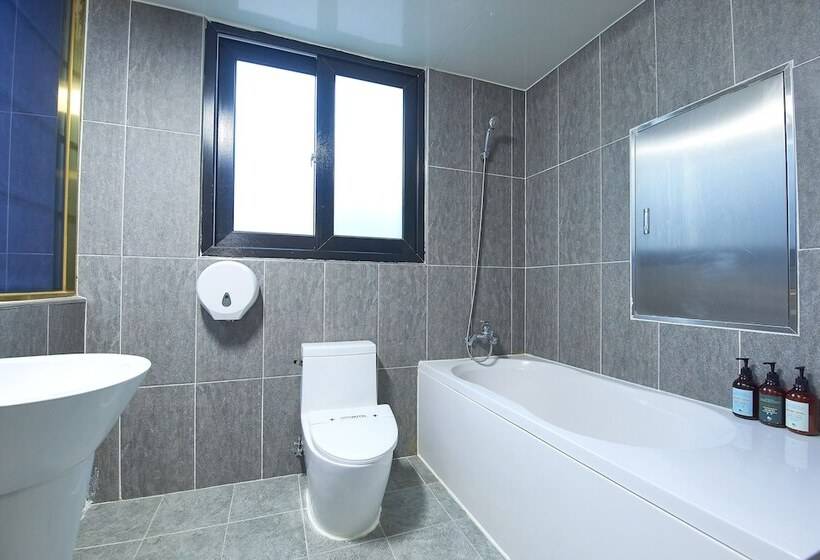 Hotel Danube Seomyeon