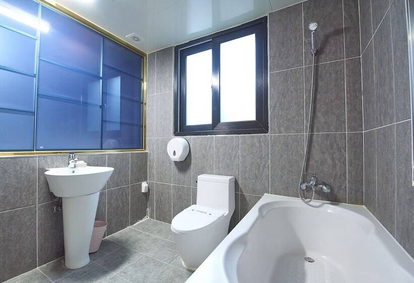 Hotel Danube Seomyeon