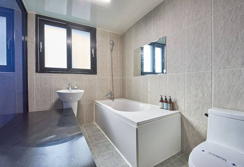 Hotel Danube Seomyeon