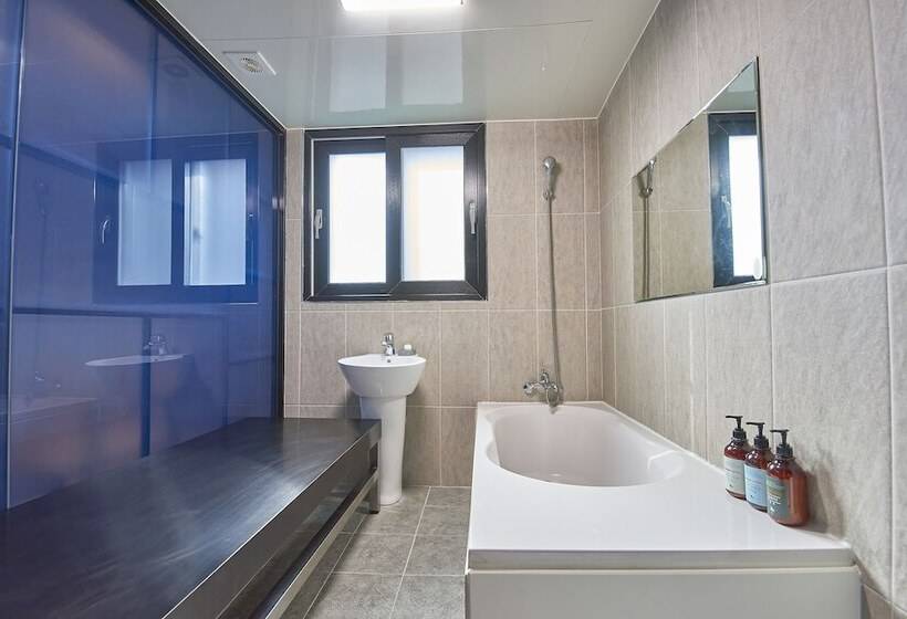 Hotel Danube Seomyeon