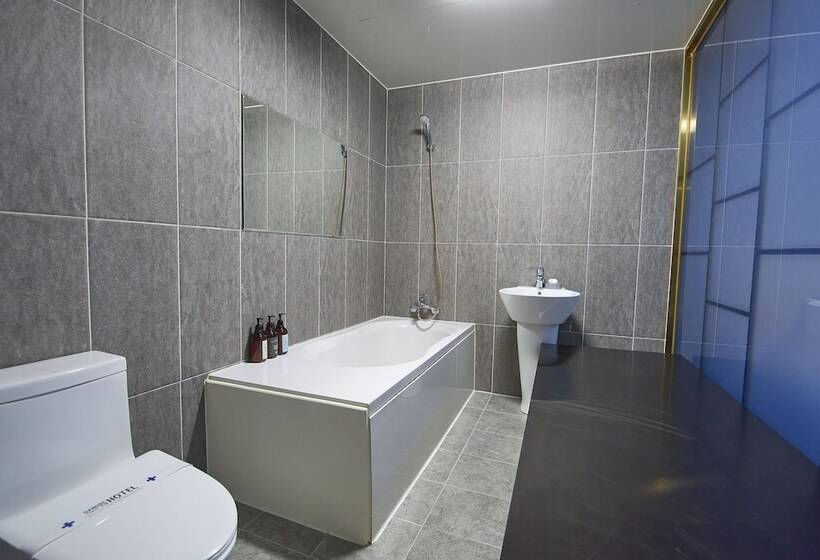 Hotel Danube Seomyeon