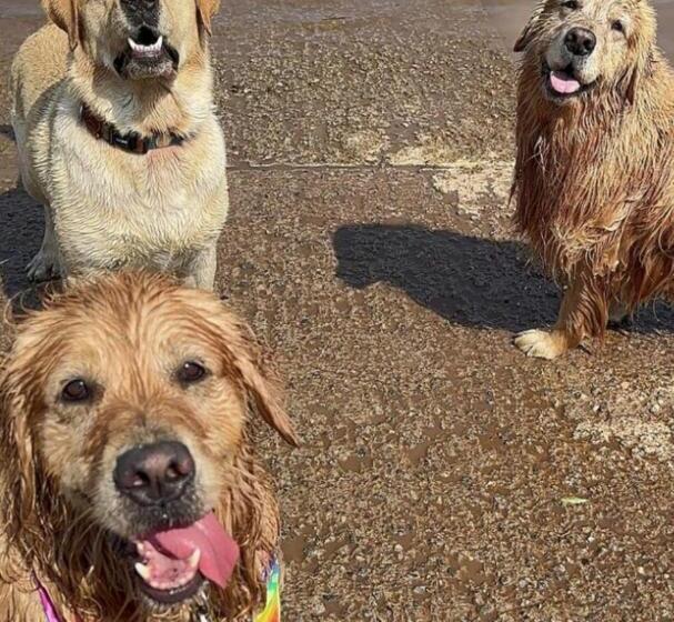 ホテル Fazenda E Marina Monteleone