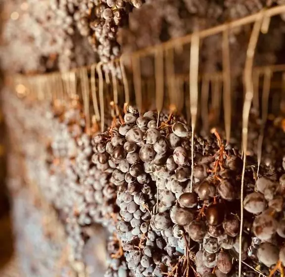 Casa Gran 1771   Montrubí Winery Hotel   Adults Only