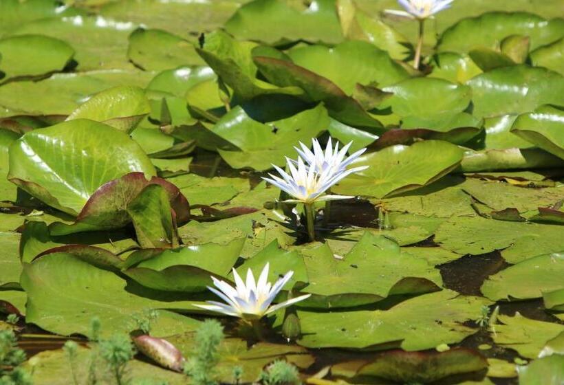 فندق Pousada Realeza Atibaia