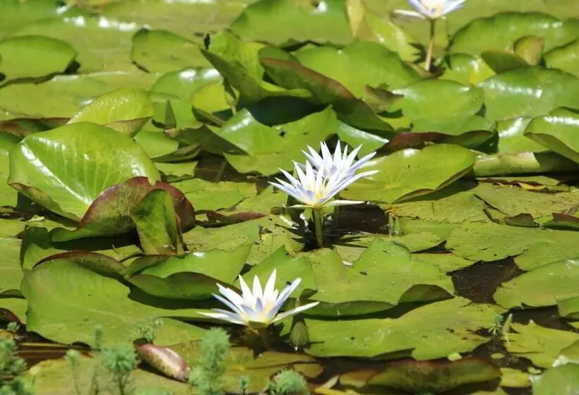 Hotelli Pousada Realeza Atibaia