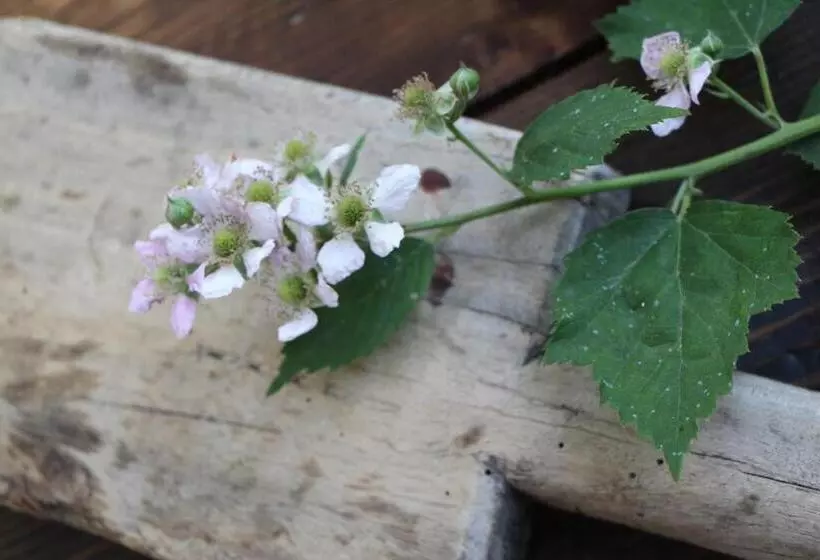 Hotelli Rocca Di Arignano