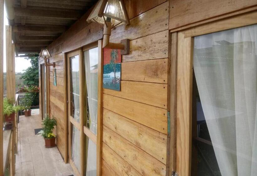 مبيت وإفطار Buganvilla Guest House