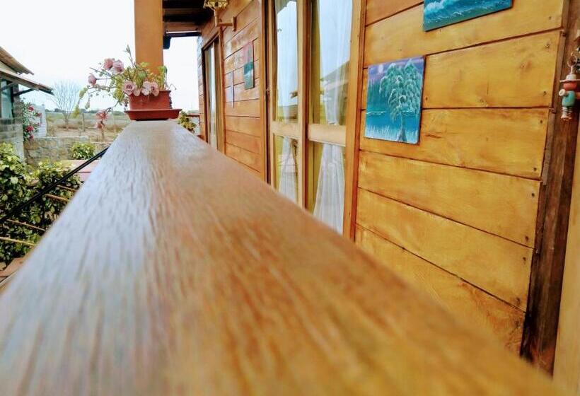 مبيت وإفطار Buganvilla Guest House