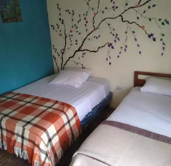 Aamiaismajoitus (B&B) Buganvilla Guest House