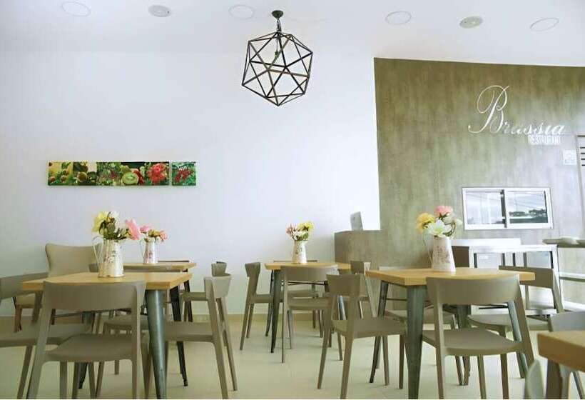 Отель Habana Real