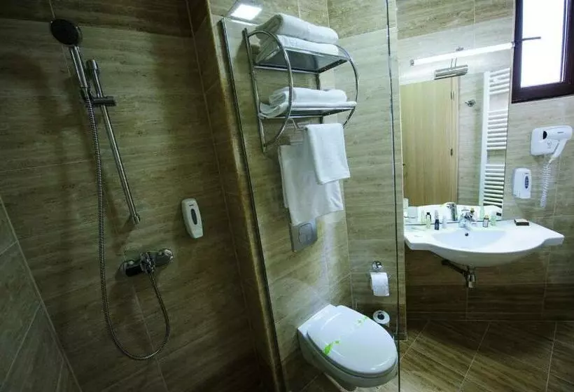 Pensiunea President City