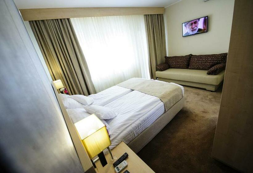 Pensiunea President City