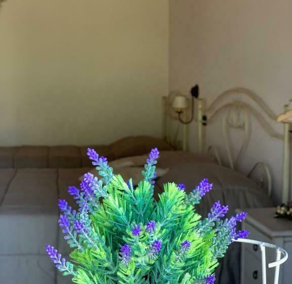 Bed and Breakfast Barsentello