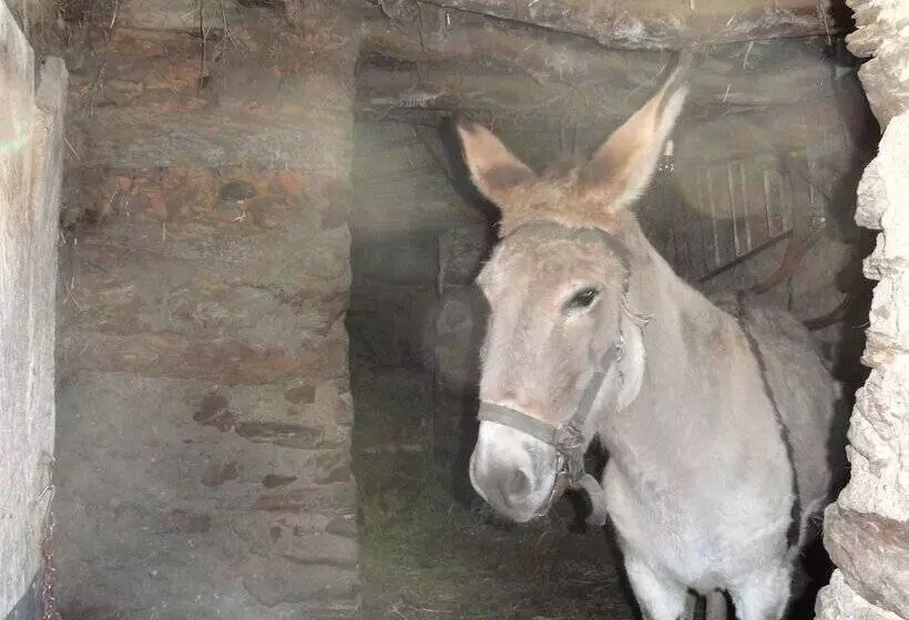 Apartamentos Rurales Azabal