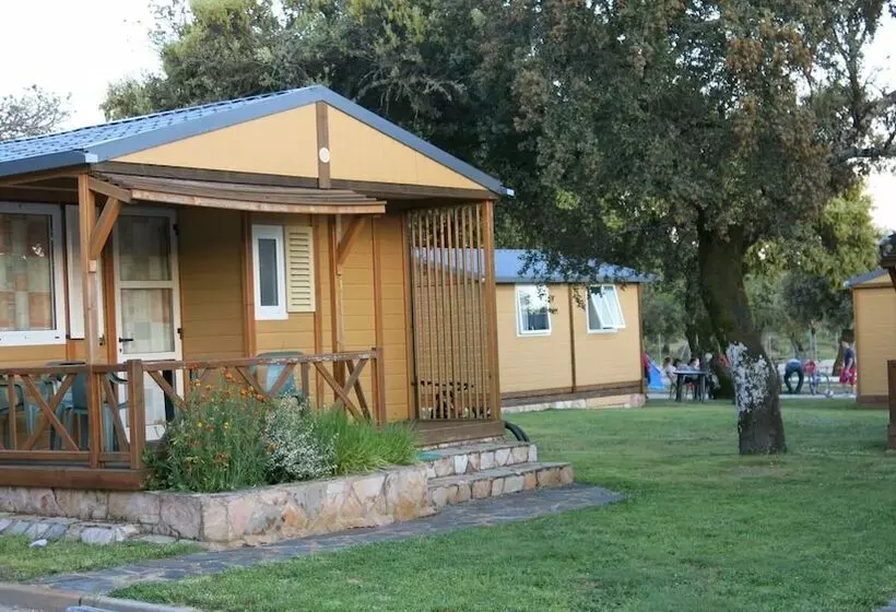 Camping Sierra De La Culebra