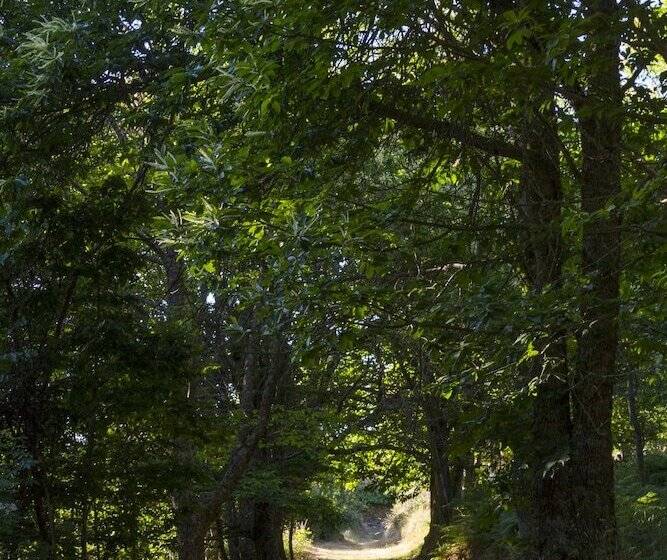 Camping Sierra De La Culebra