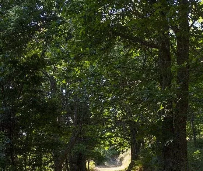 Camping Sierra De La Culebra