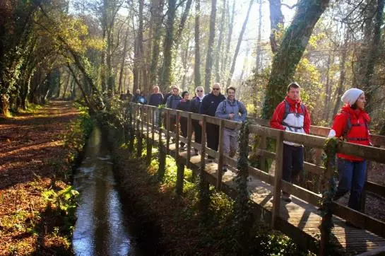 Отель Peninsular