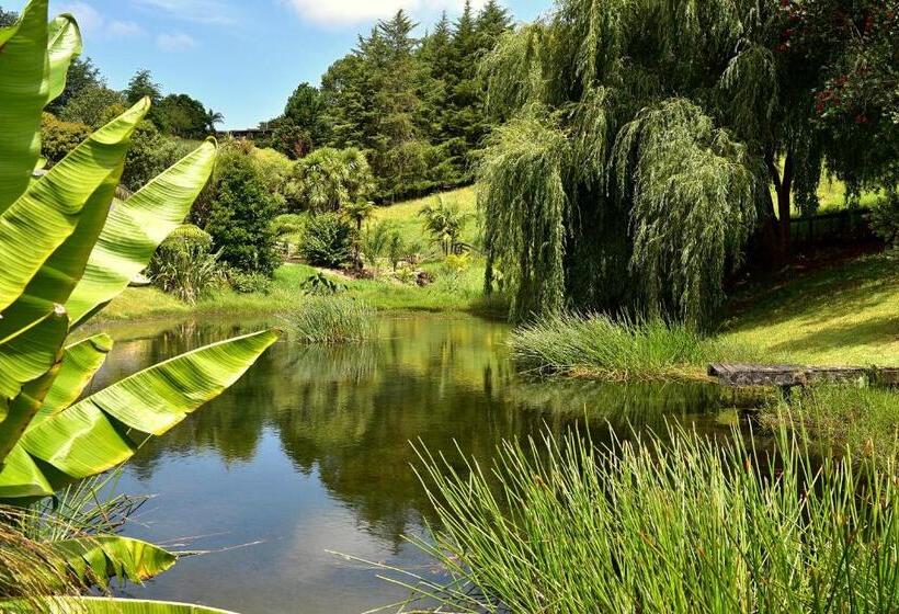 호텔 Avalon Resort