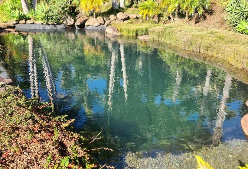 호텔 Avalon Resort