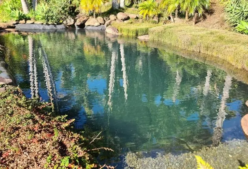 בית מלון כפרי Avalon Resort