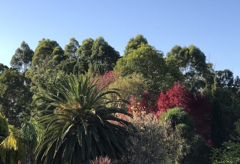 ホテル Forest Lodge Resort